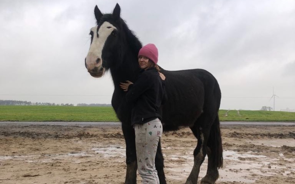 
        Osoba przytulająca konia na tle wiejskiego krajobrazu.
    