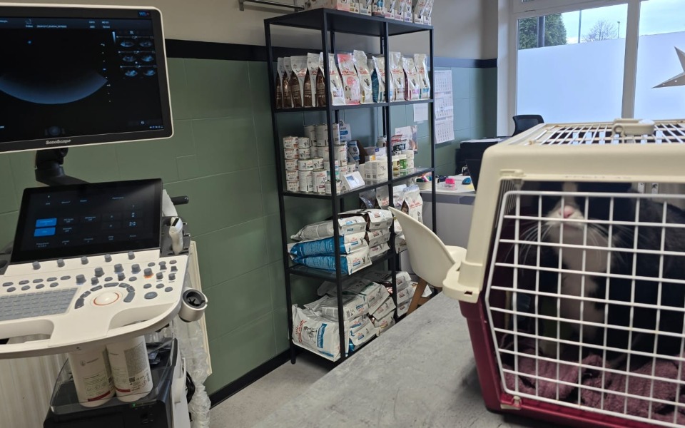 
        Gabinet weterynaryjny z aparatem USG i klatką dla zwierząt.
    