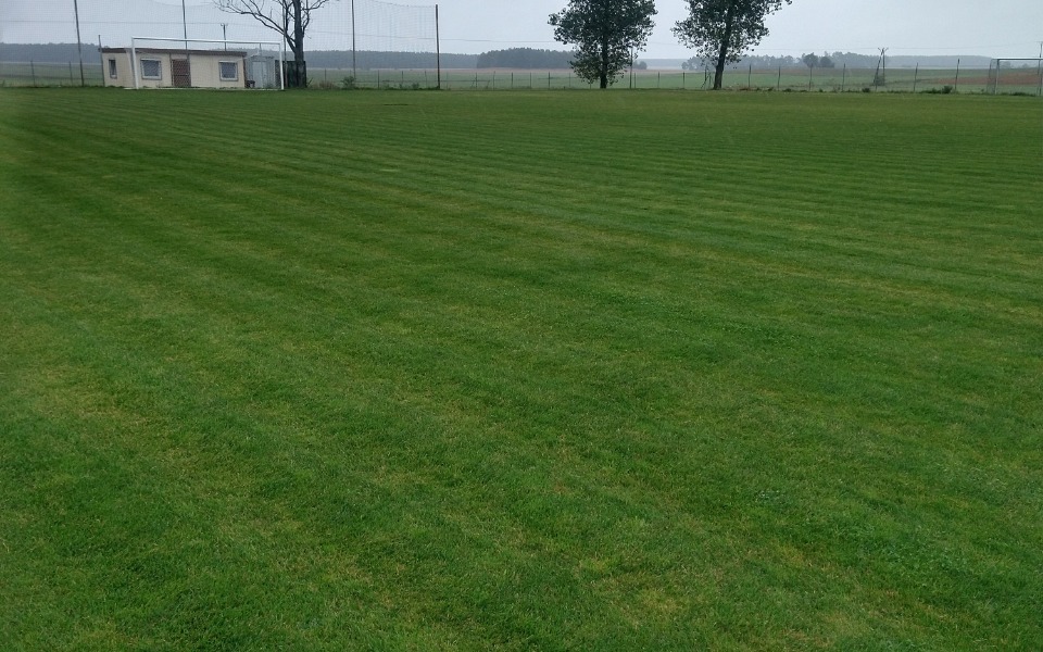 
        Zielona trawa na boisku z drzewami w tle.
    