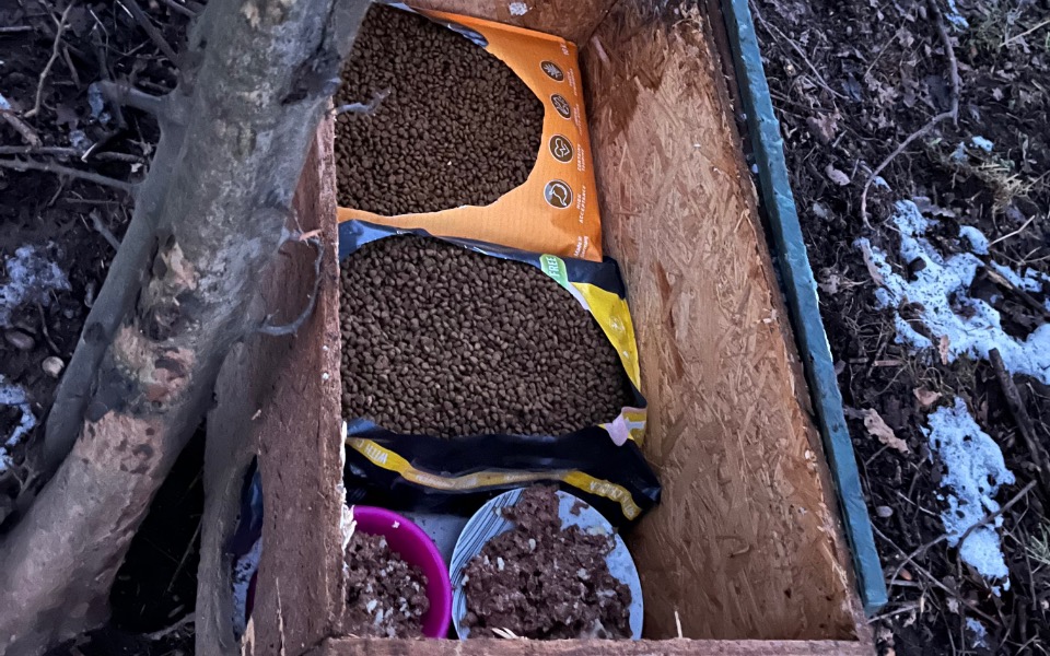 
        Skrzynka z karmą dla zwierząt w lesie.
    