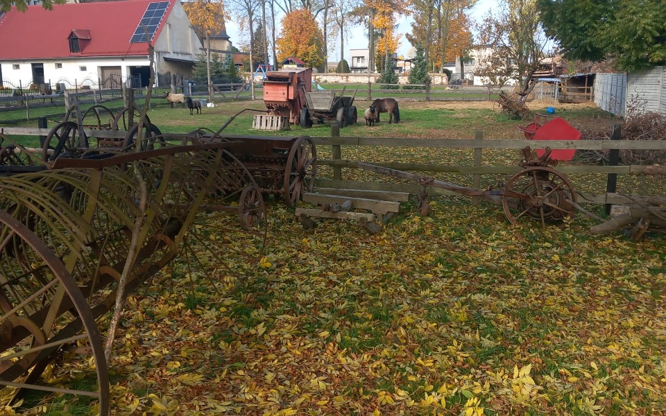 
        Widok na podwórze z jesiennymi liśćmi i starymi maszynami rolniczymi.
    