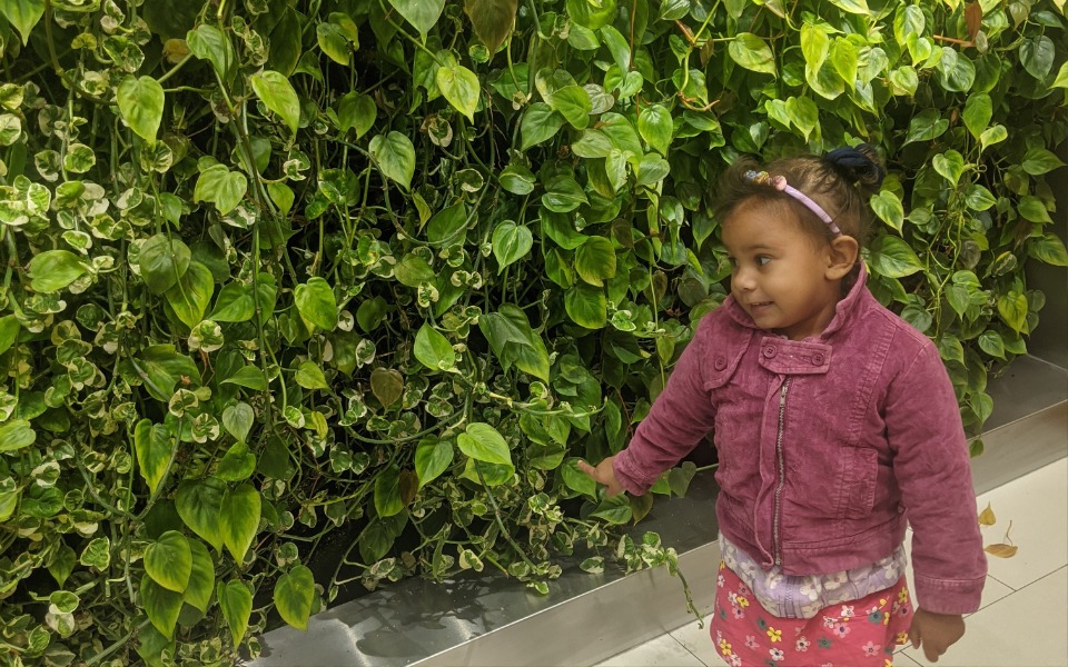 
        Dziecko przy zielonej ścianie z roślinami, uśmiechnięte i ciekawe otoczenia.
    