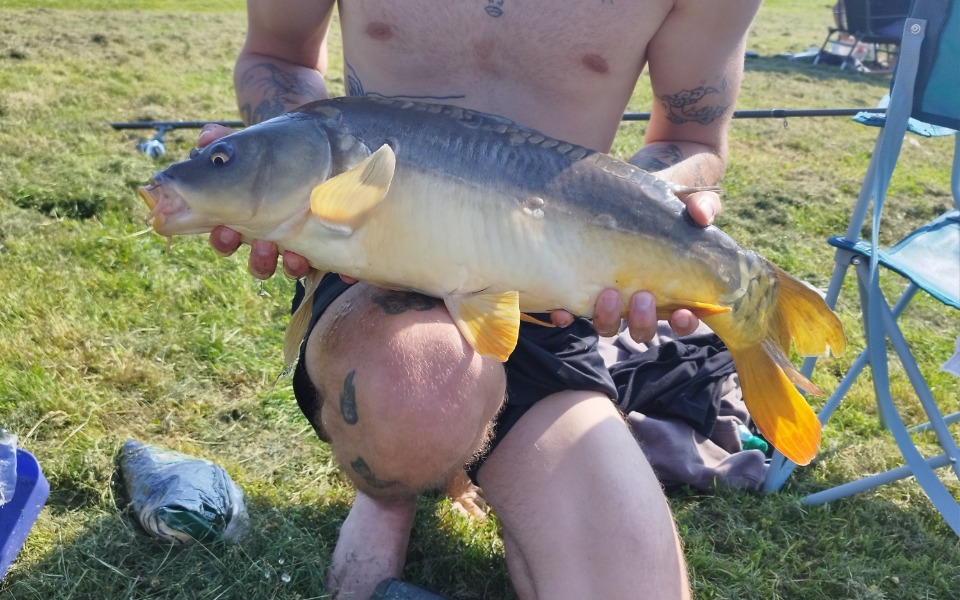 
        Mężczyzna trzyma dużą rybę na tle zielonej trawy.
    