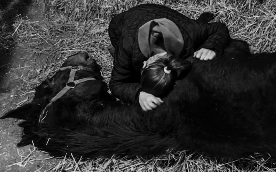 
        Dziecko przytulające konia w stajni.
    