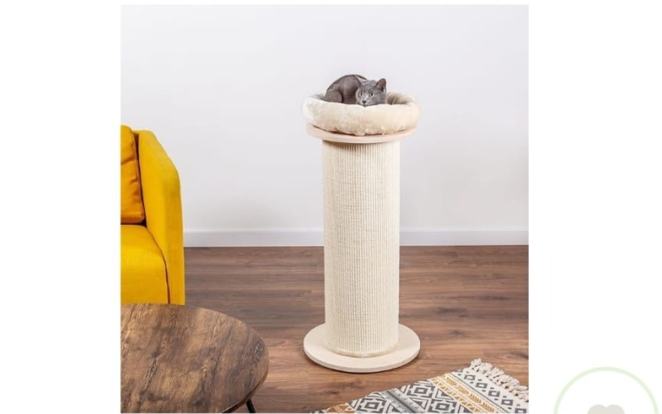 
        Kot leżący na drapaku, z widokiem na pokój.
    