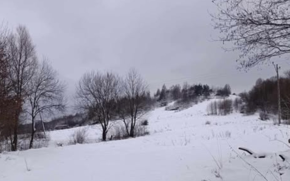 
        Zimowy krajobraz z drzewami i śniegiem.
    