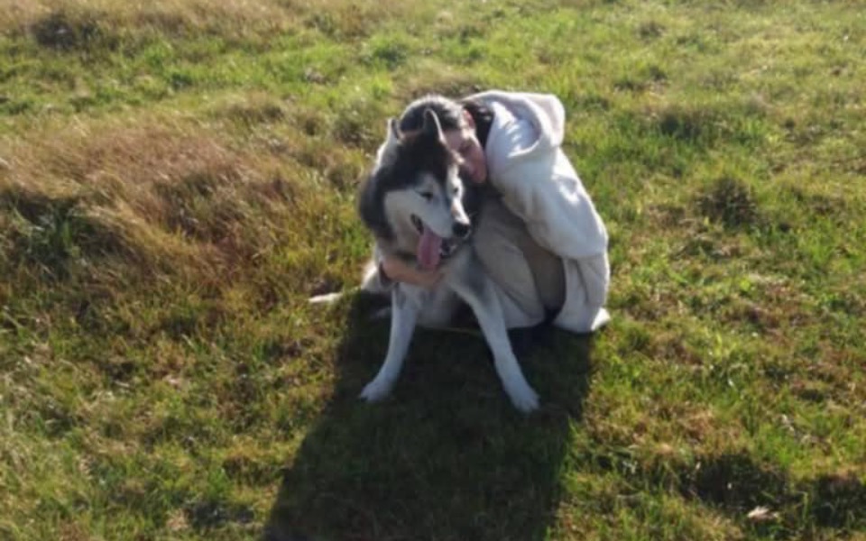 Osoba przytula psa na zielonej łące, pełna radości.