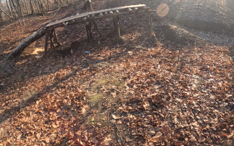 
        Mostek w lesie, otoczony opadłymi liśćmi.
    