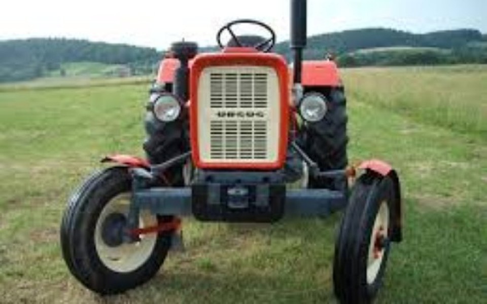 
        Zbiórka Na poczciwego "ciapka" do pomocy - zdjęcie główne
    