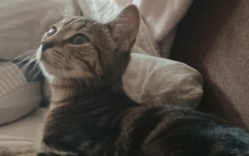 
        Zbiórka Pomoc Miśce - zdjęcie główne
    