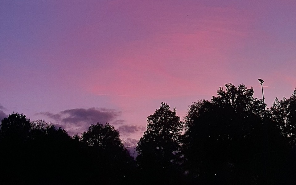 
        Zachód słońca w odcieniach różu i fioletu, z drzewami w tle.
    