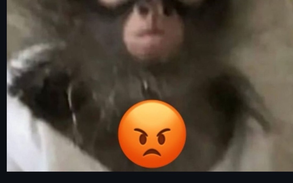 
        Zamglone zdjęcie małpy z wyrazem złości na twarzy.
    