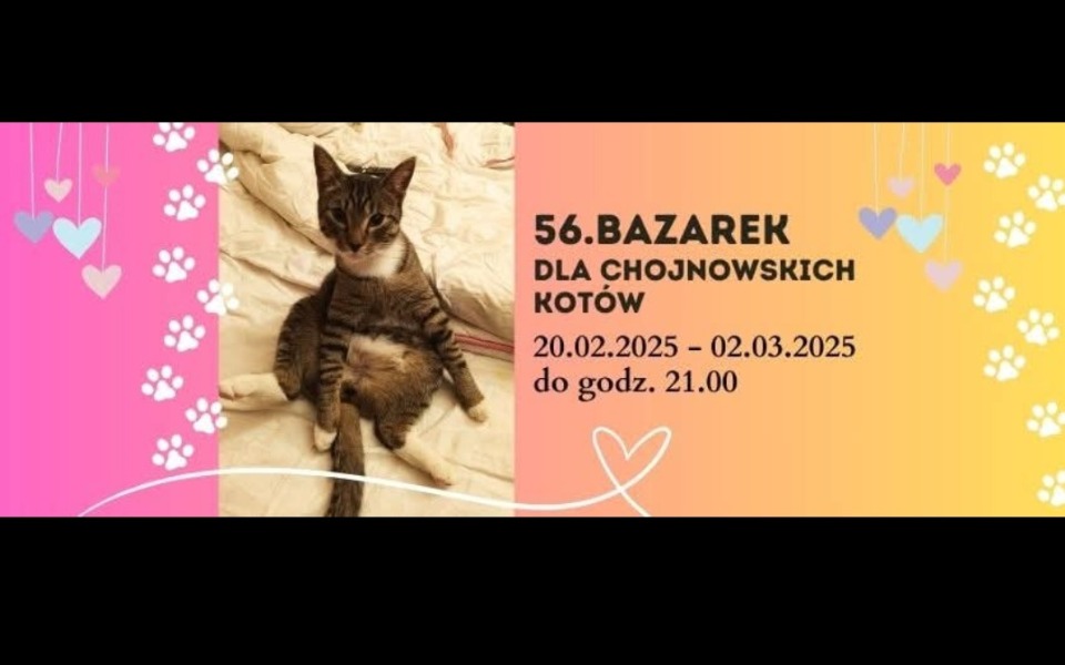 
        Plakat promujący bazarek dla kotów.
    