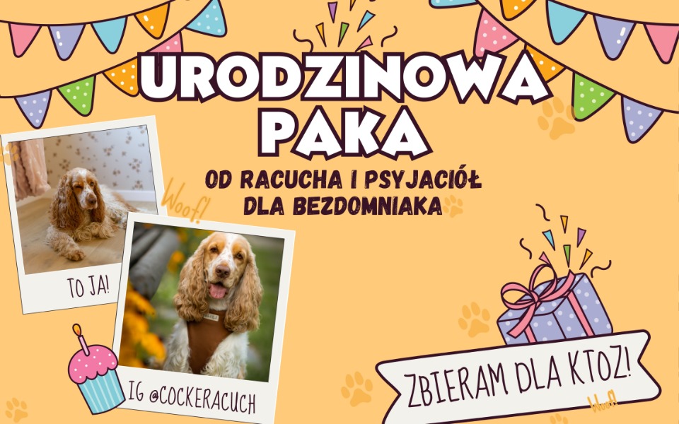 
        Grafika urodzinowa z psem i prezentami.
    