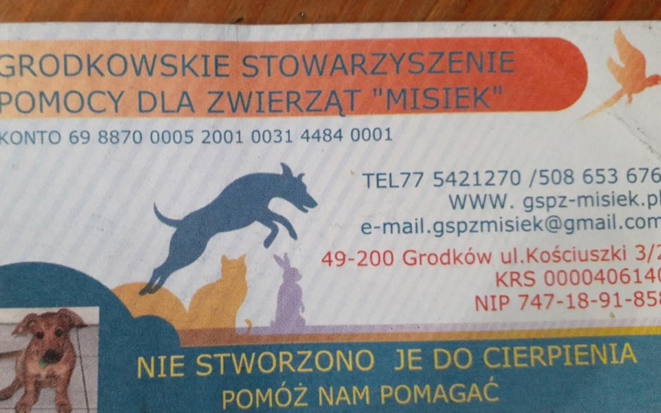 
        Karta z informacjami o stowarzyszeniu pomocy dla zwierząt.
    