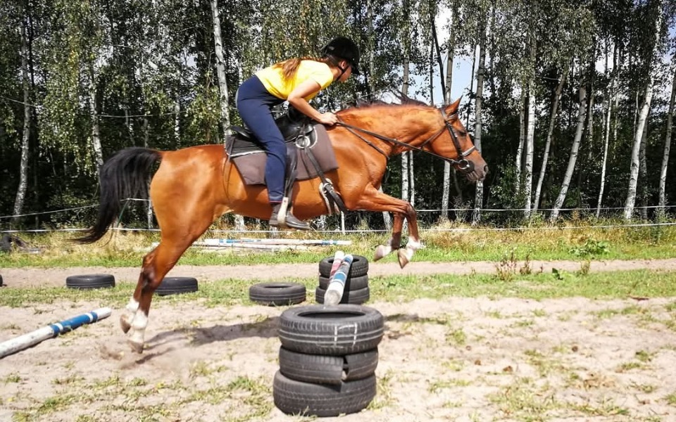 
        Kobieta skacze na koniu przez przeszkodę.
    