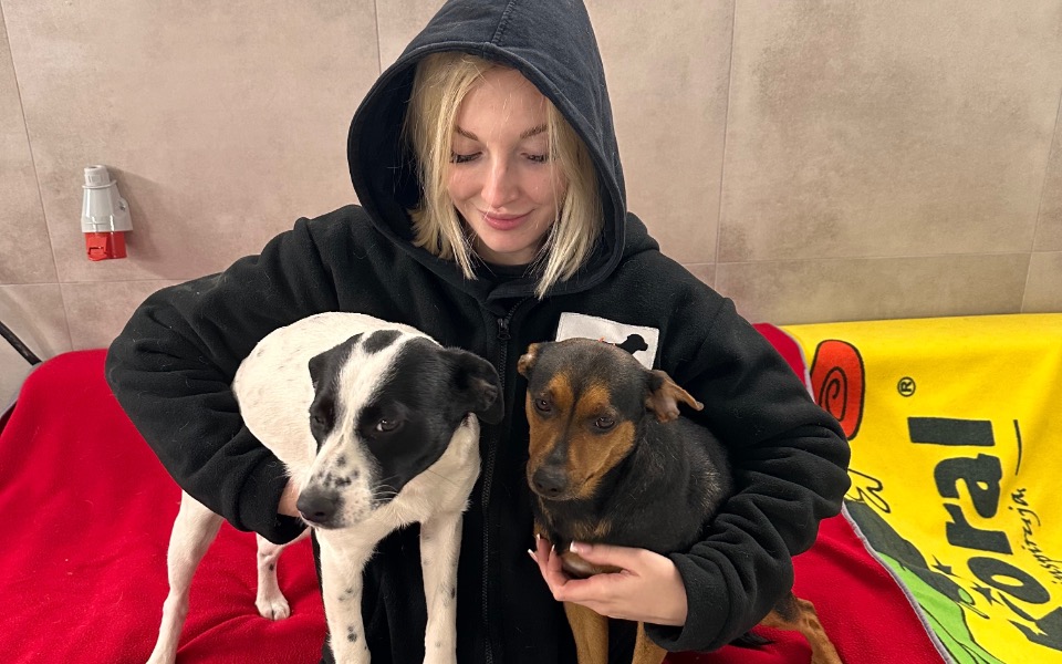 
        Młoda kobieta trzyma dwa psy na rękach.
    