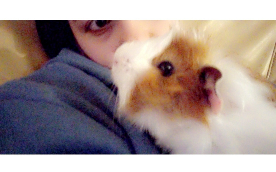 
        Młoda osoba z świnką morską, przytulają się do siebie.
    