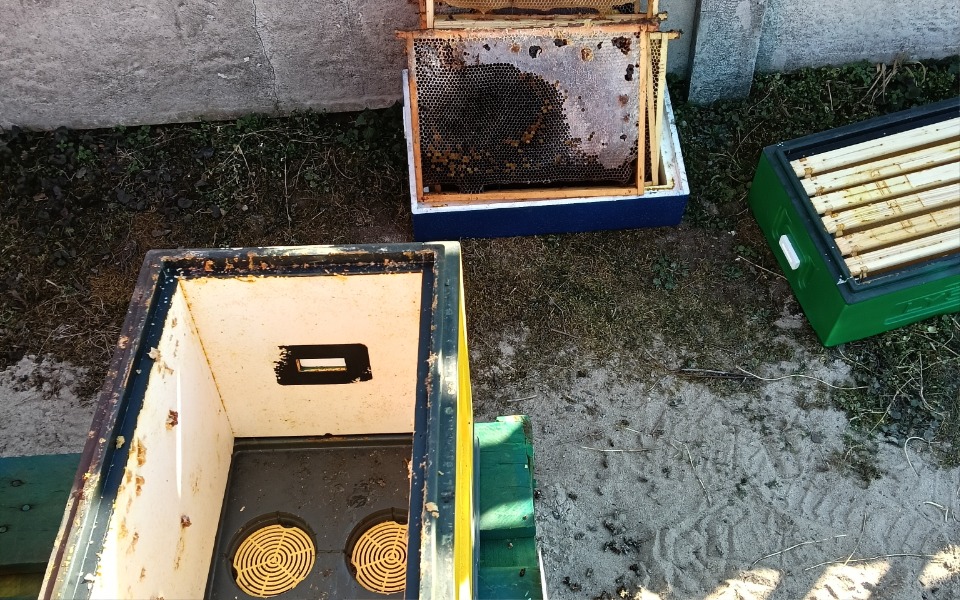 
        Ule i ramki pszczele na ziemi, w tle zarośla.
    