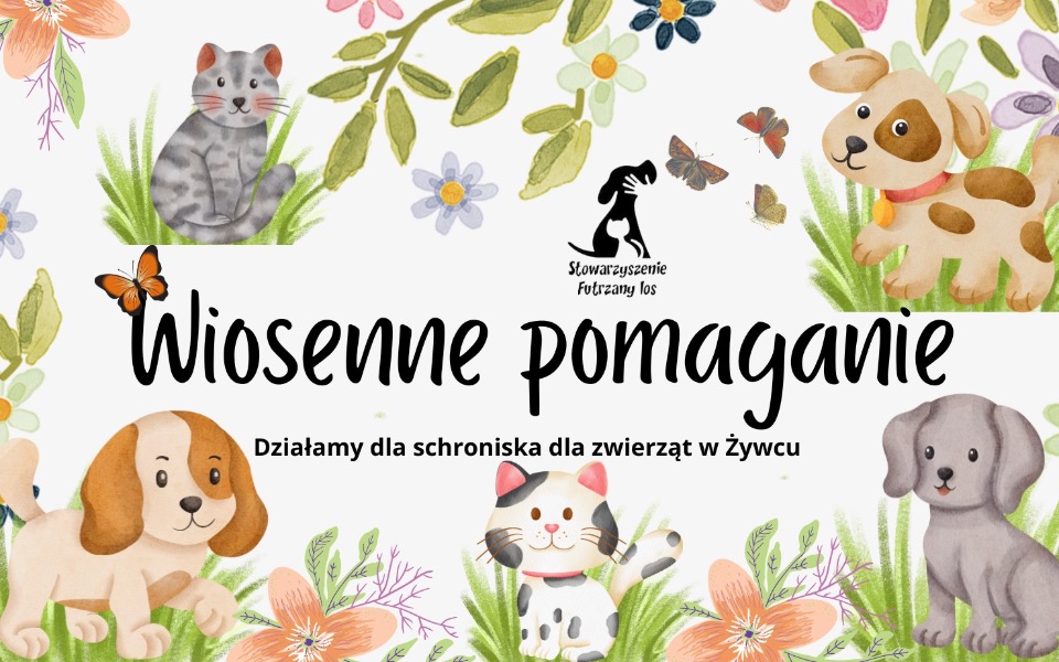 
        Plakat z ilustracjami zwierząt i napisem o pomocy dla schroniska.
    