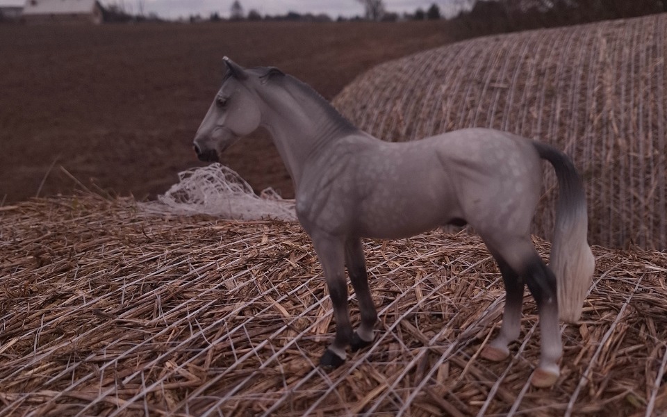 
        Figurka konia na tle stogu siana, w naturalnym otoczeniu.
    
