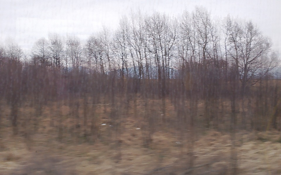 
        Pusty krajobraz z nagimi drzewami w tle, w szarym świetle.
    