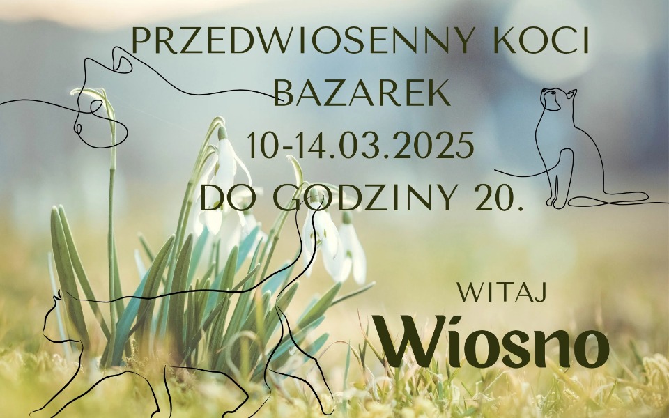 
        Plakat zapraszający na bazarek koci, z grafiką kwiatów.
    