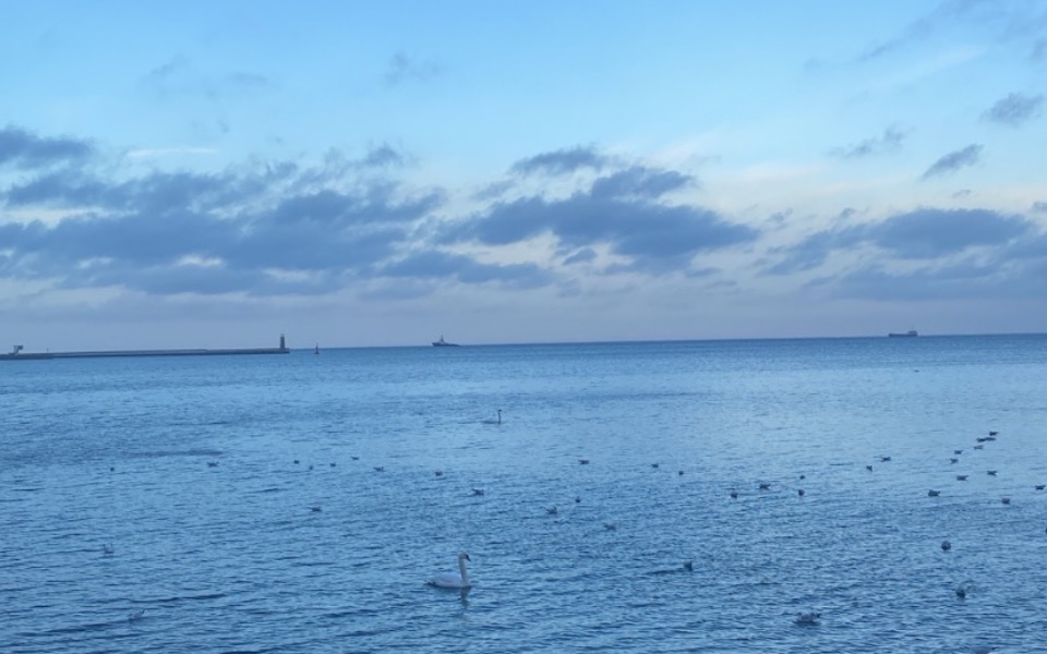 
        Spokojny widok na morze z łabędziem i statkami w tle.
    