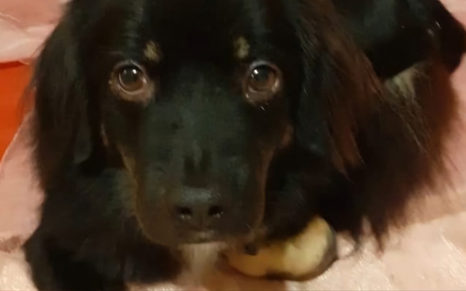 
        Budynek w trakcie budowy z widocznymi oknami.
    