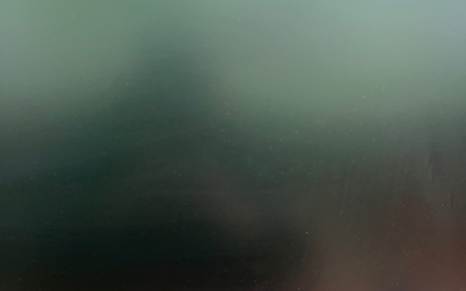 
        Rozmyty obraz, nieczytelny, z delikatnymi zarysami.
    