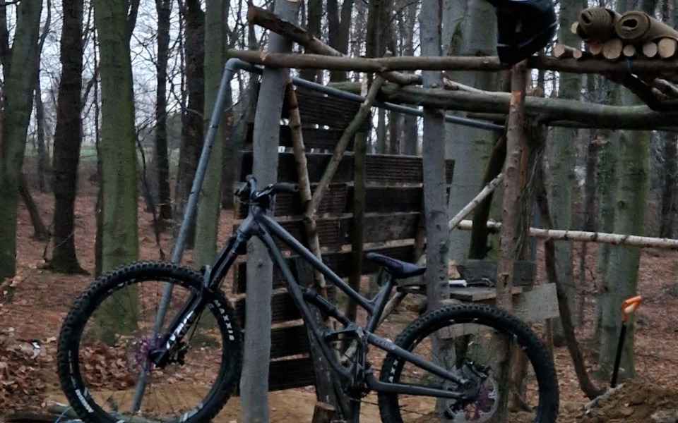 
        Rower górski na tle leśnej scenerii.
    