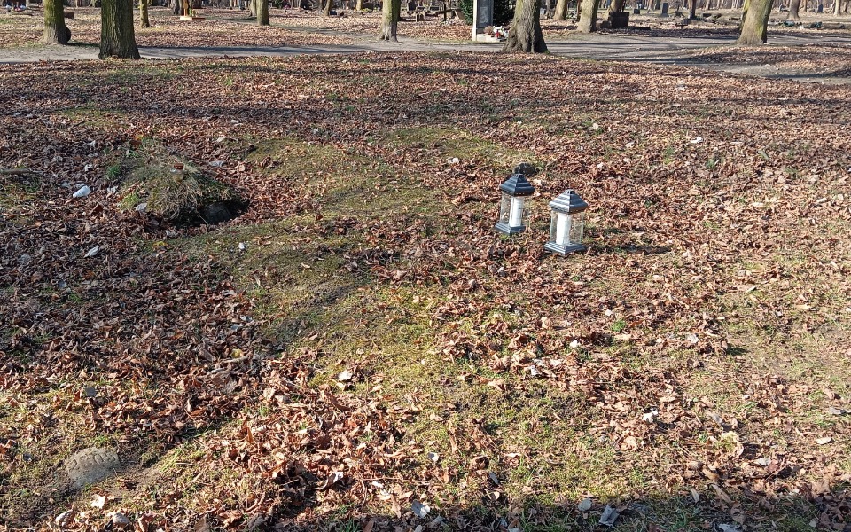 
        Lampiony na opadłych liściach w parku.
    