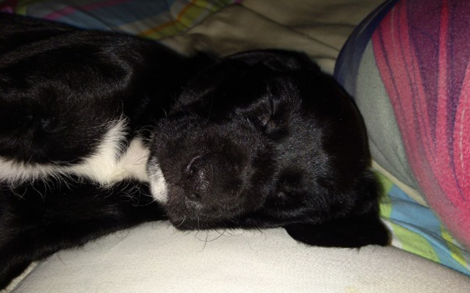 
        Zbiórka 😁 - zdjęcie główne
    