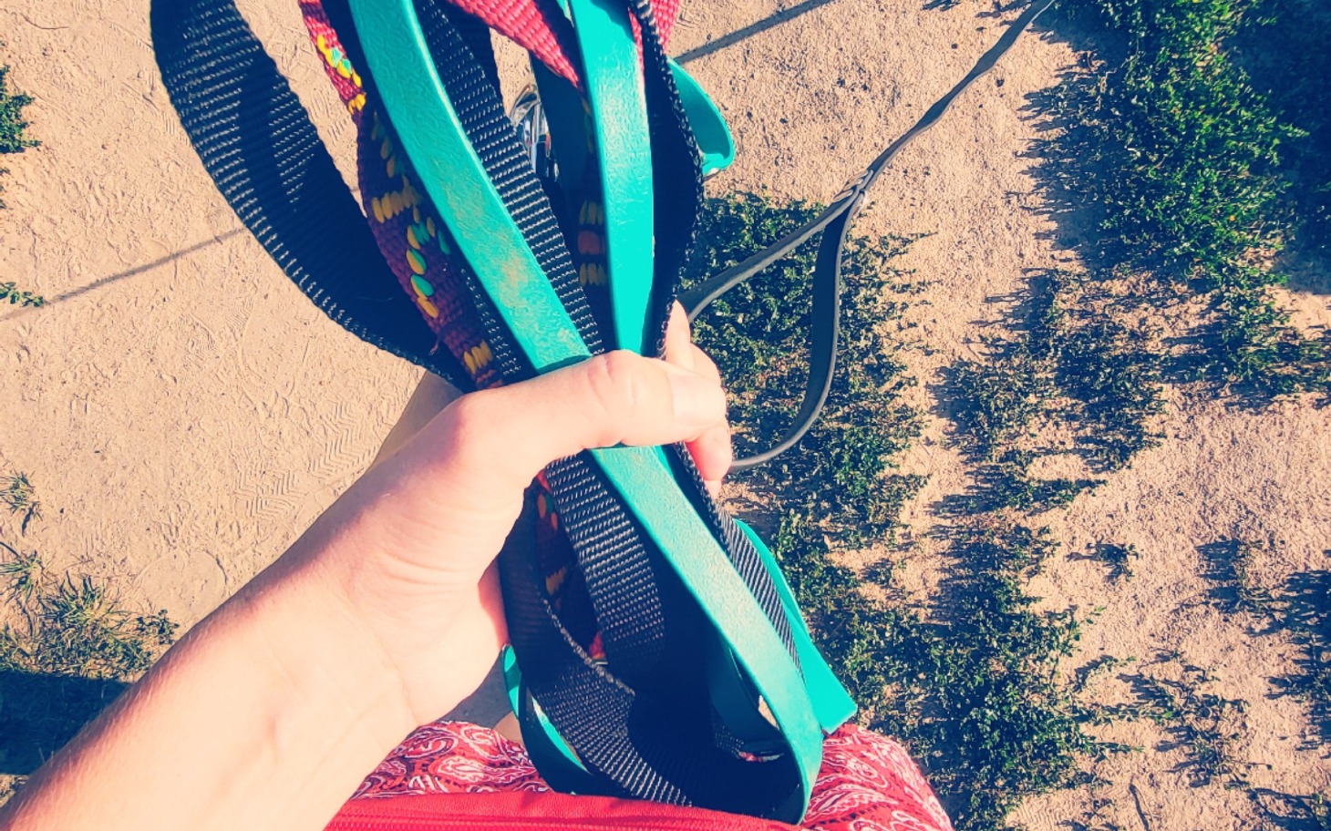 
        Ręka trzymająca smycze na tle zielonej trawy.
    