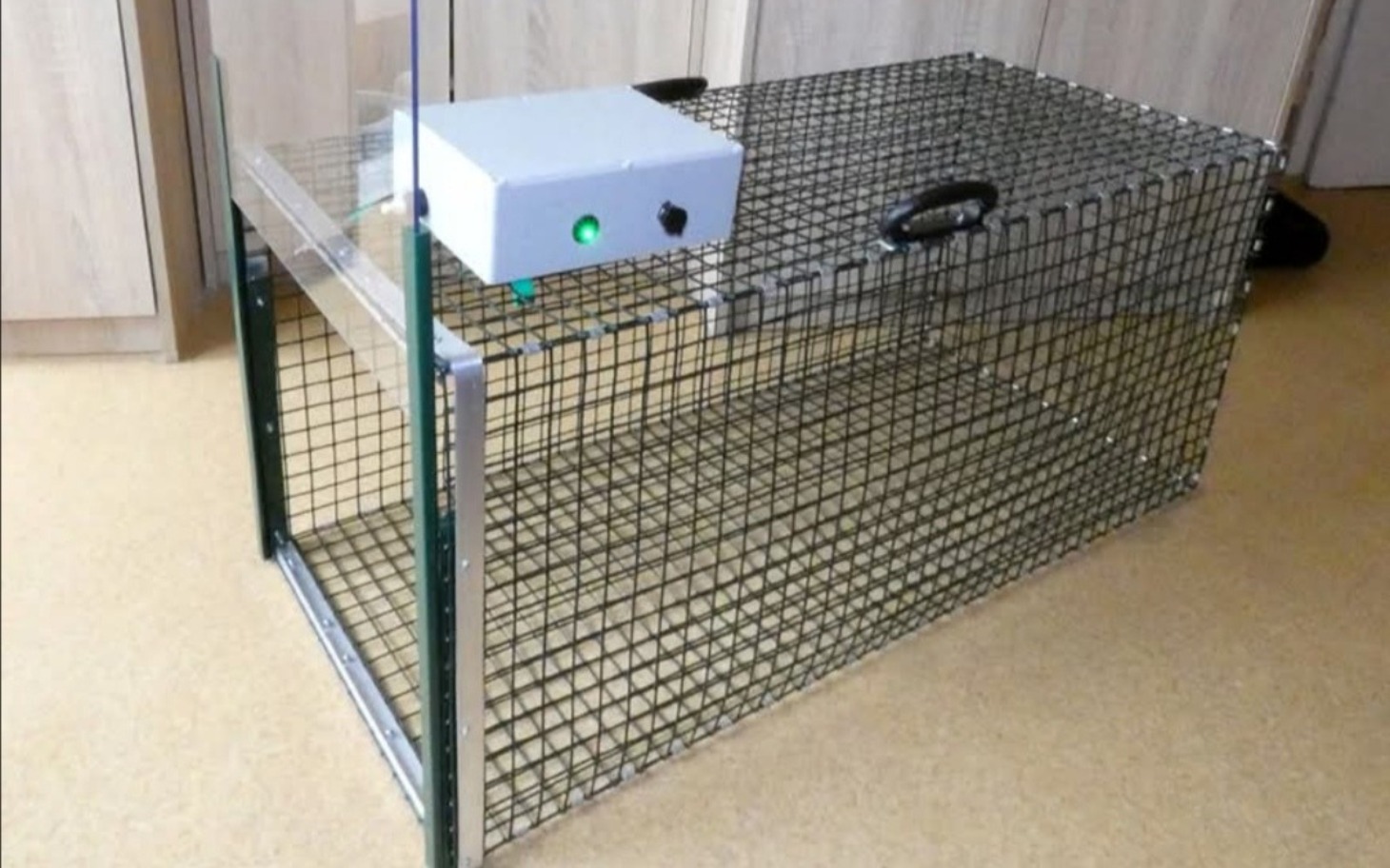 
        Pułapka na gryzonie z przezroczystymi ściankami.
    