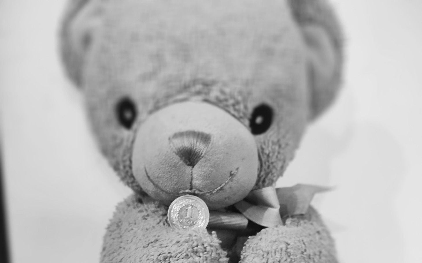 
        Pluszowy miś trzymający monetę.
    