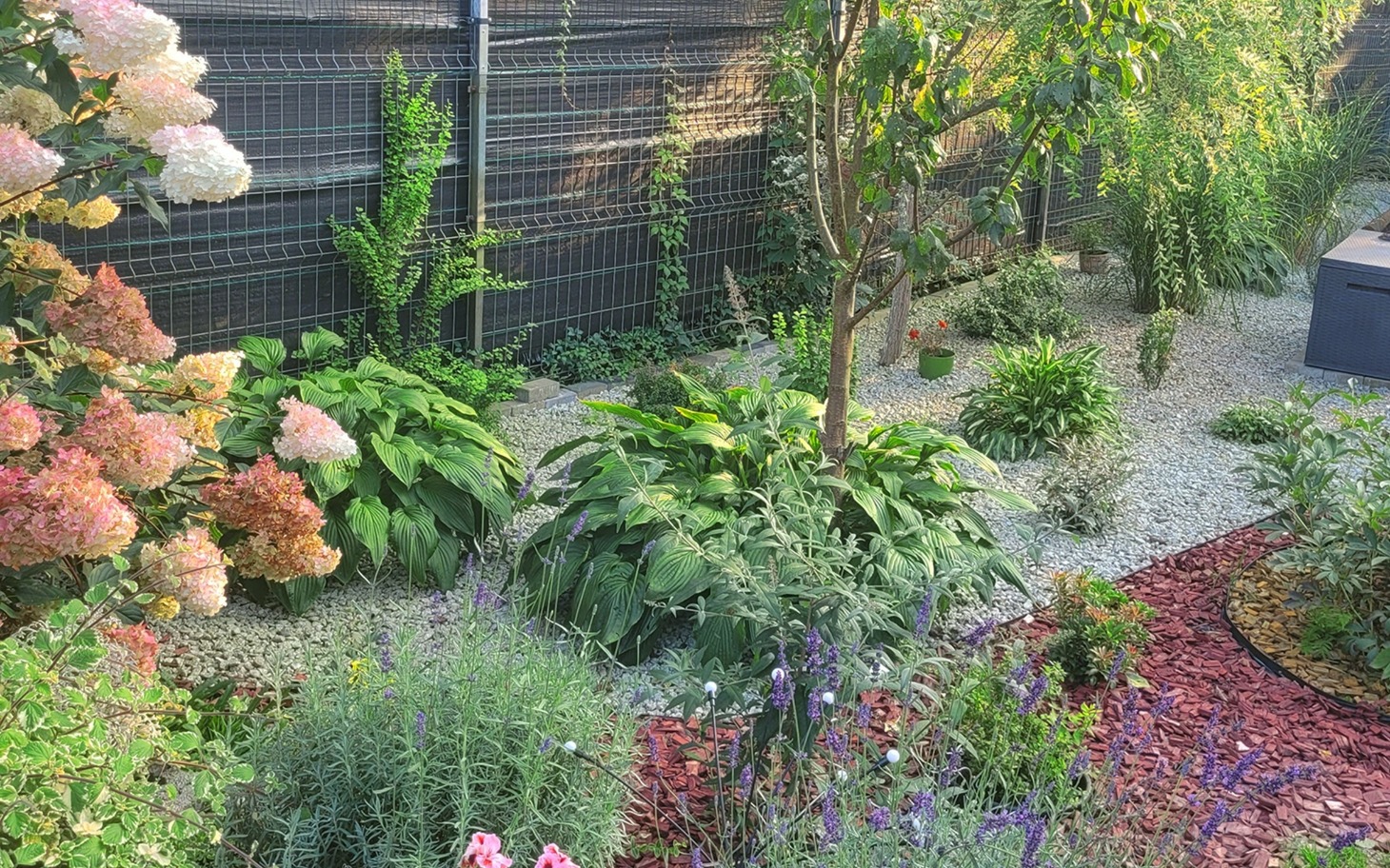 
        Zielony ogród z różnorodnymi roślinami.
    