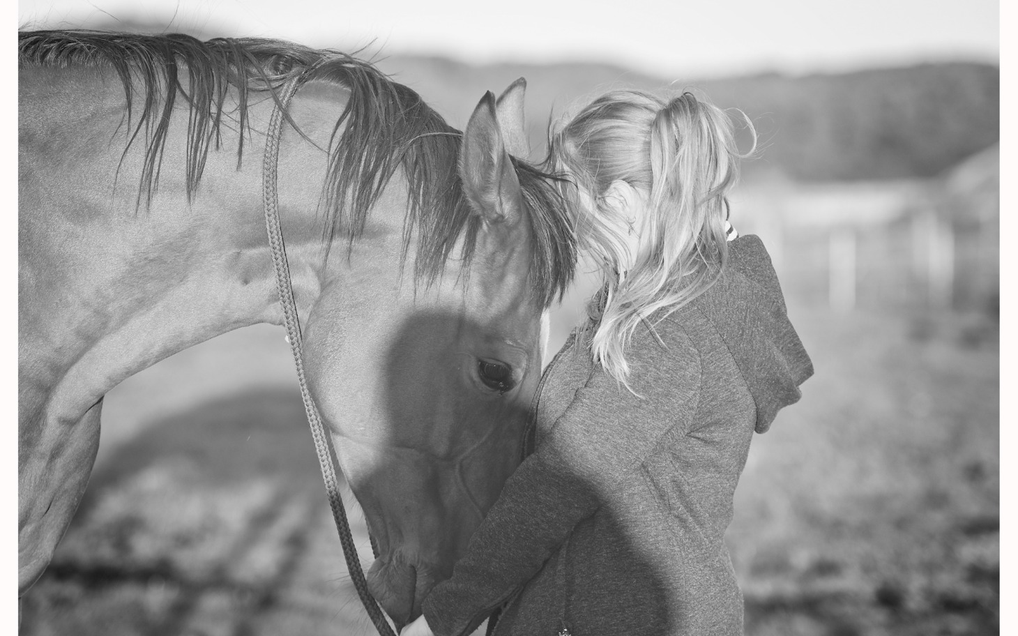 
        Kobieta przytulająca konia na tle zielonej łąki.
    