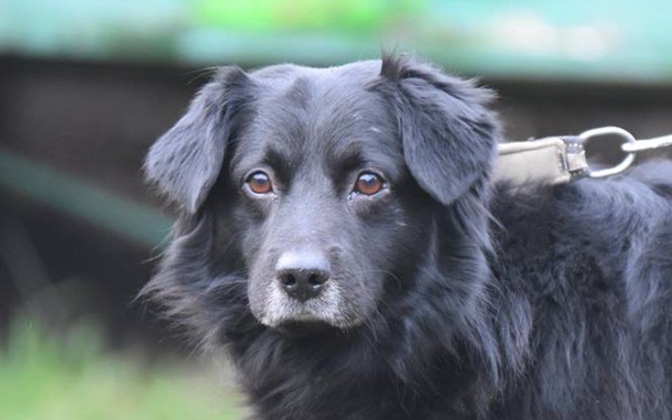 
        Zbiórka Osieroceni - zdjęcie główne
    