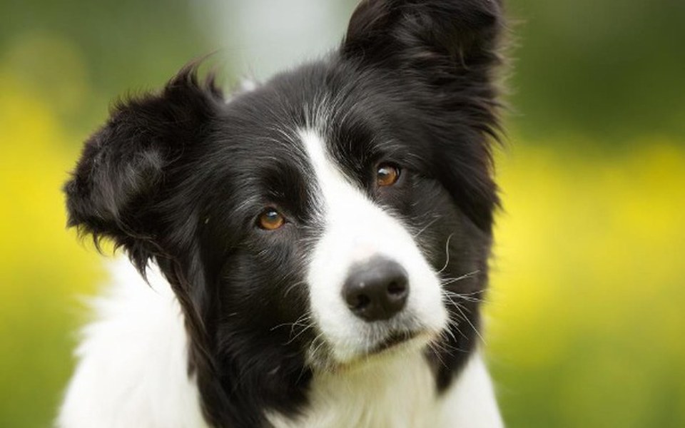 
        Zbiórka Wybity ząb - zdjęcie główne
    