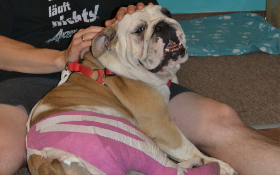 
        Zbiórka Ratujemy oko Berty!! - zdjęcie główne
    