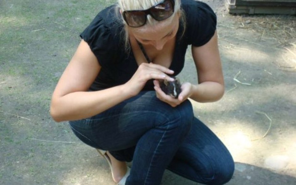 
        Zbiórka Komputer mój wymarzony - zdjęcie główne
    