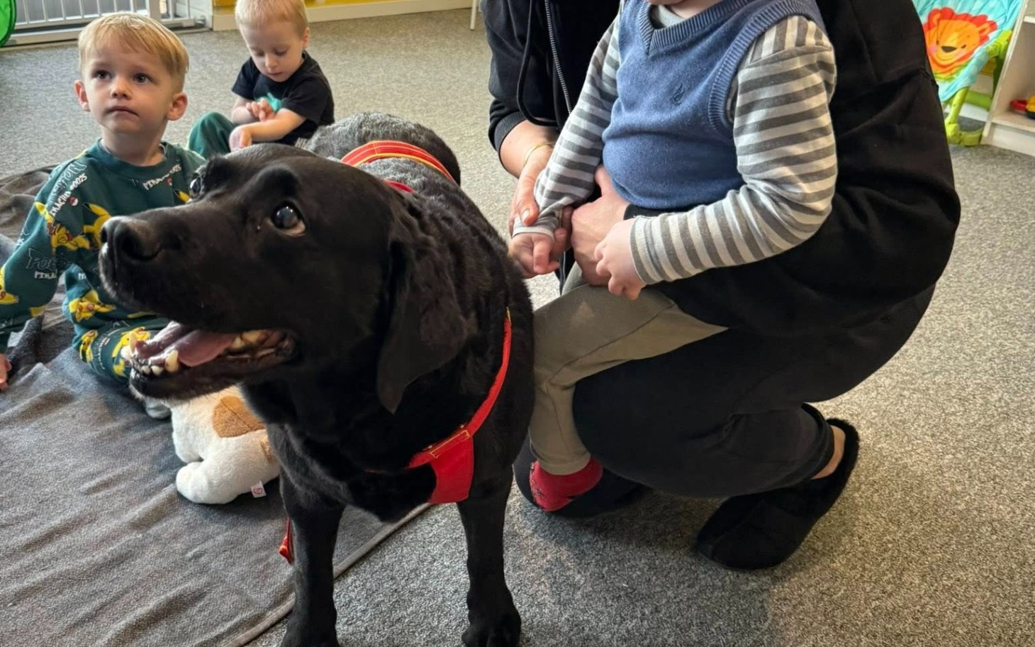
        Czarny labrador z dziećmi w przedszkolu.
    