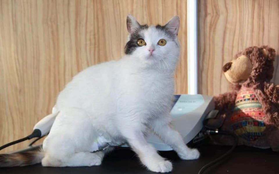 
        Zbiórka Życie po wypadku - zdjęcie główne
    