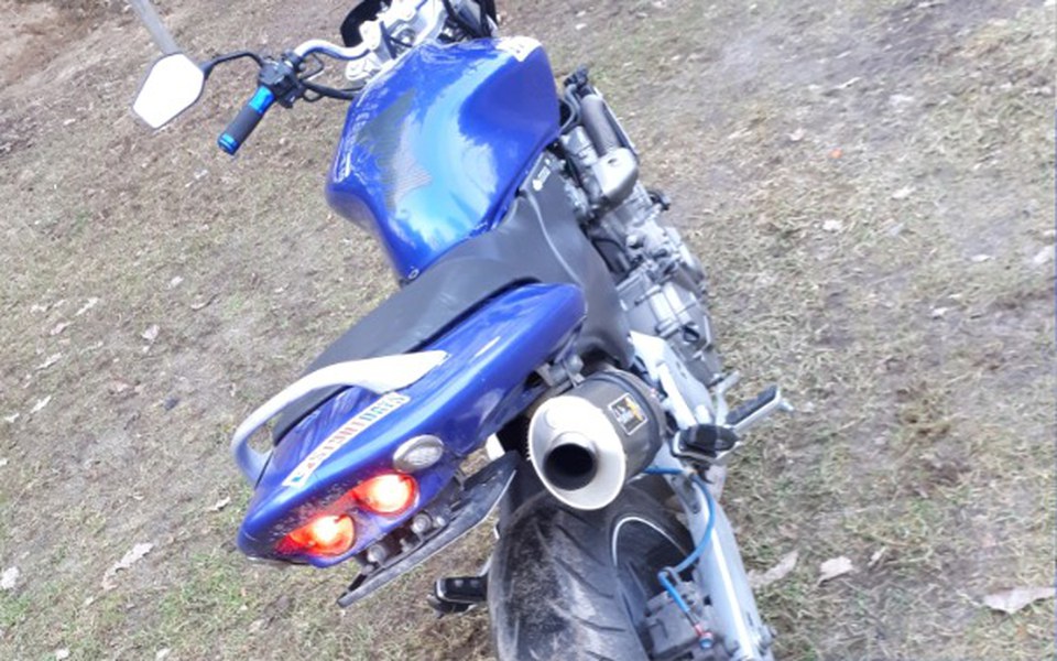 
        Zbiórka Zbiórka na Plastidipa niebieski - zdjęcie główne
    