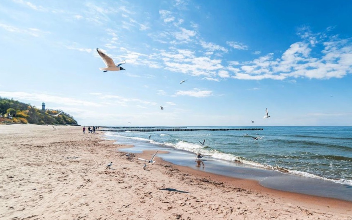 
        Plaża nad morzem z ptakami i spacerującymi ludźmi.
    