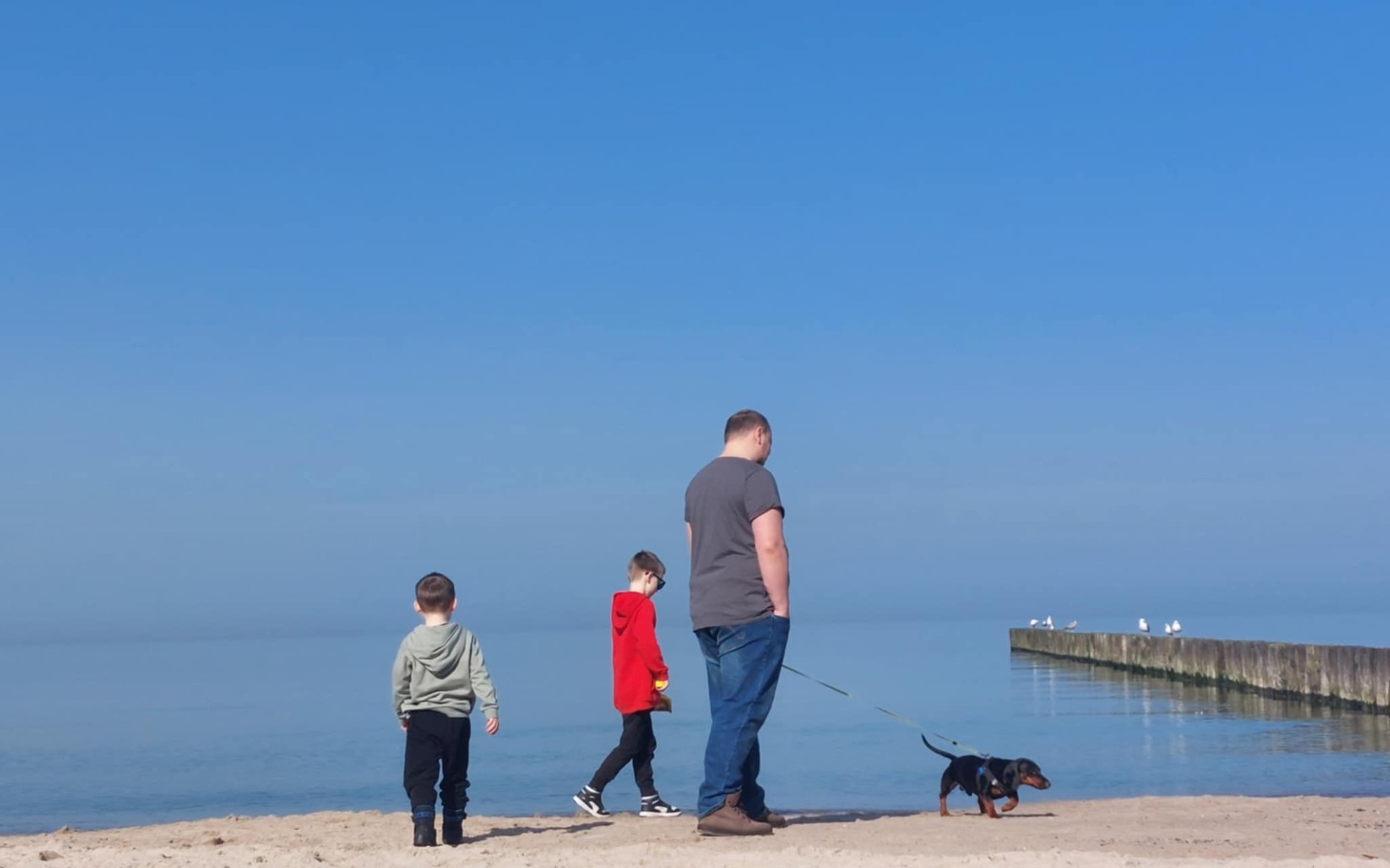 
        Rodzina spacerująca po plaży z psem w słoneczny dzień.
    