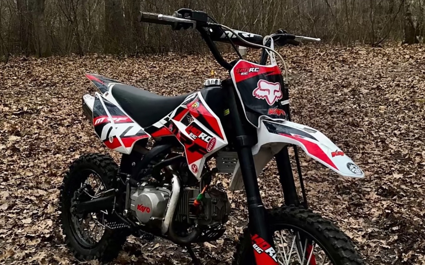 
        Motocykl terenowy w kolorach czerwonym i czarnym na tle leśnym.
    