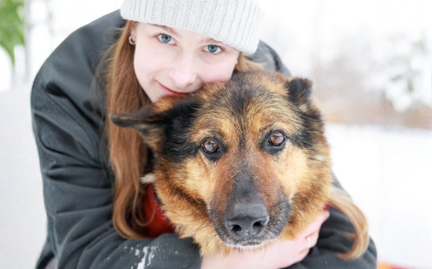 
        Chory kot z uszkodzeniem oka, potrzebujący leczenia.
    