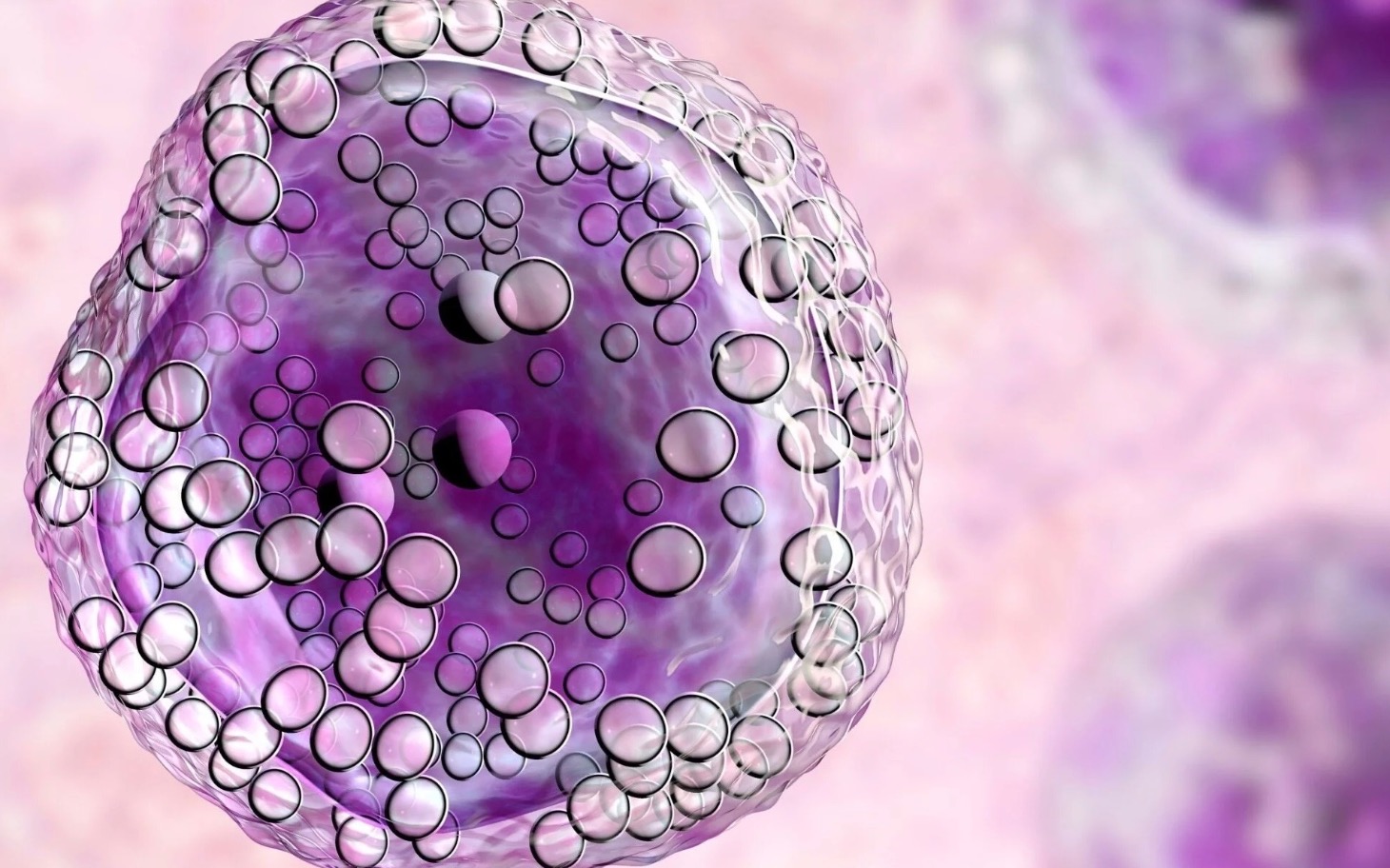 
        Mikroskopijne komórki w kolorze fioletowym.
    